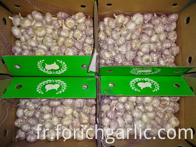 Normal White Garlic In Carton